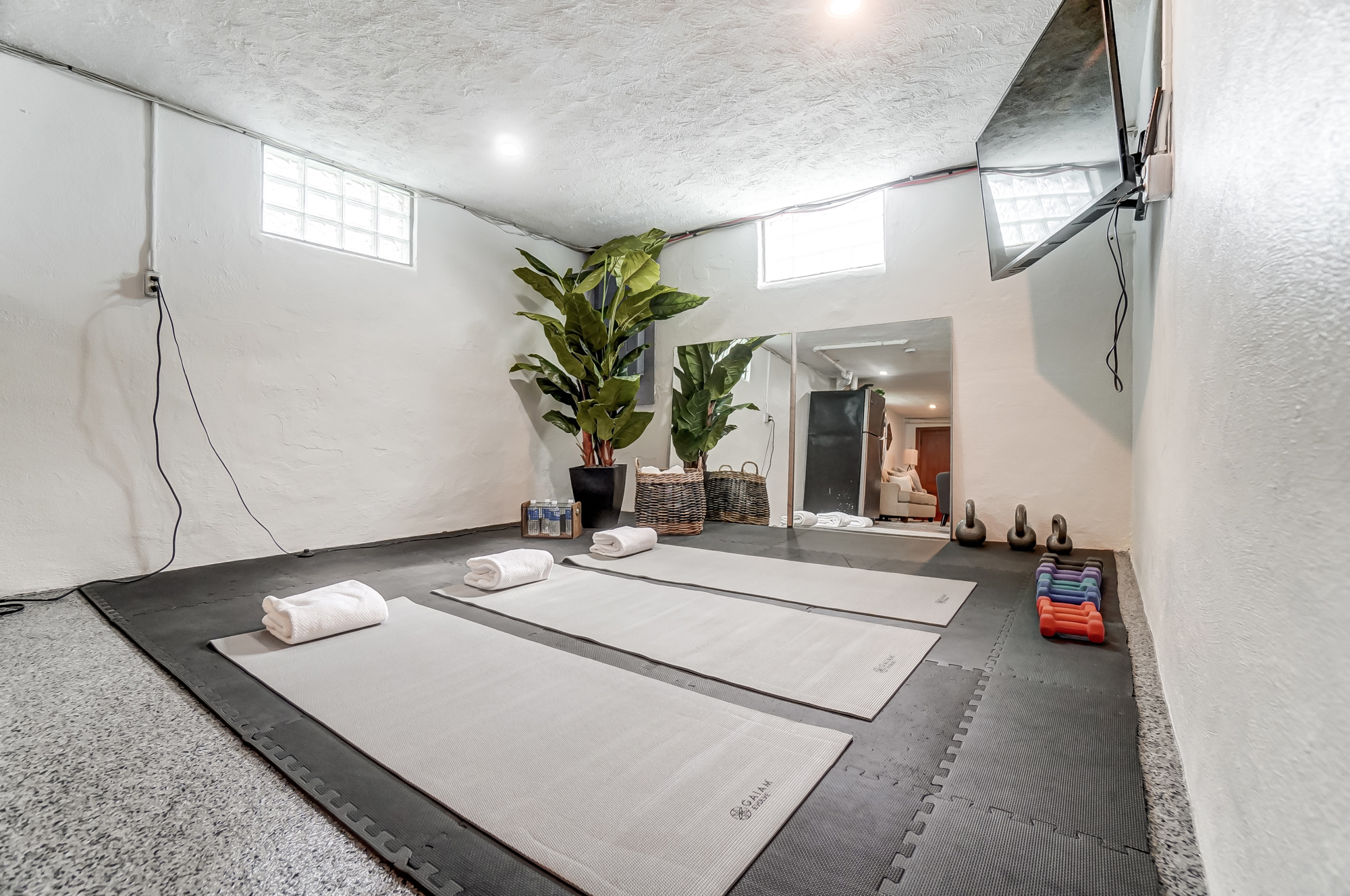 Basement Exercise Room
