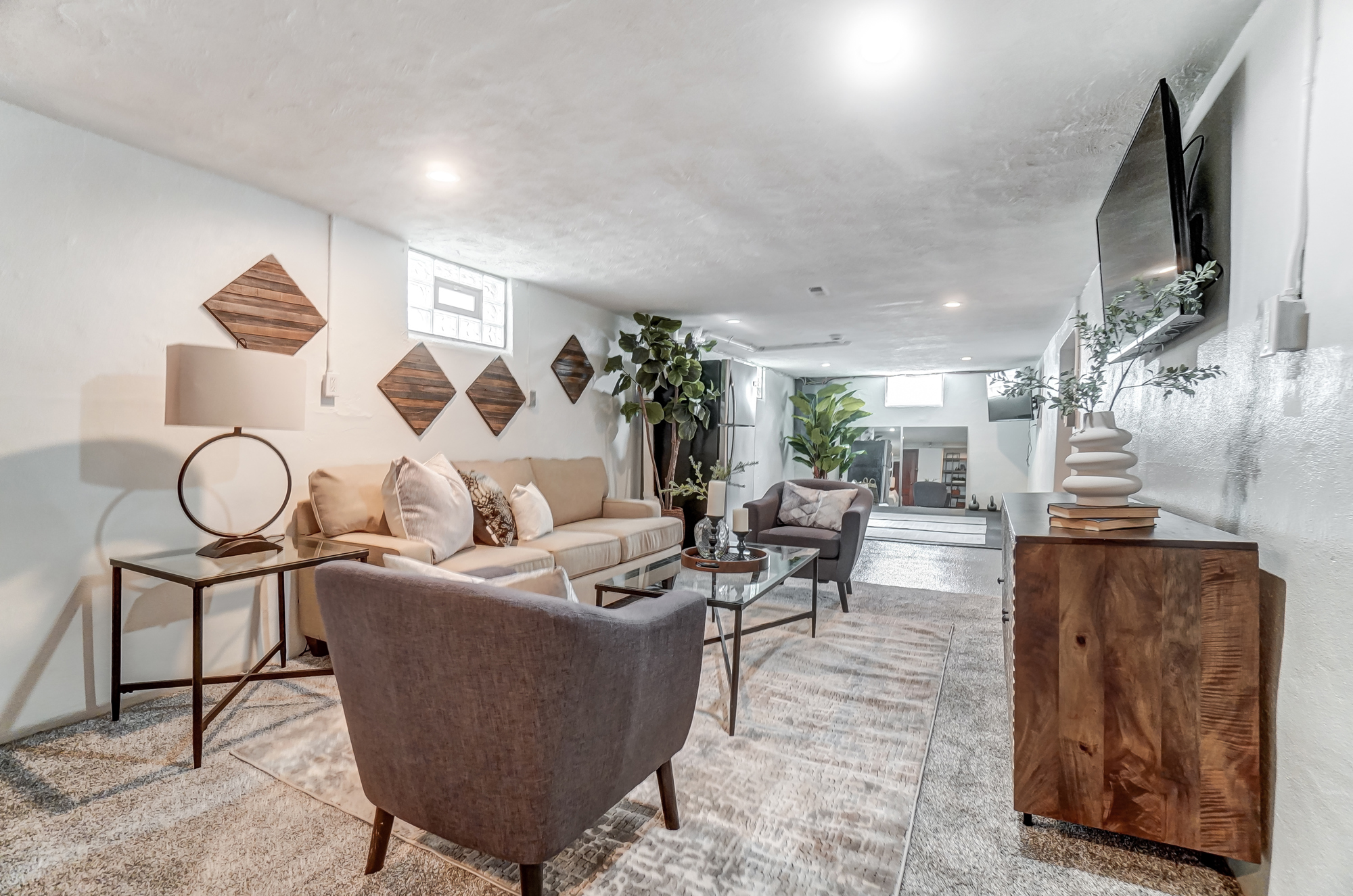 Basement Living Room