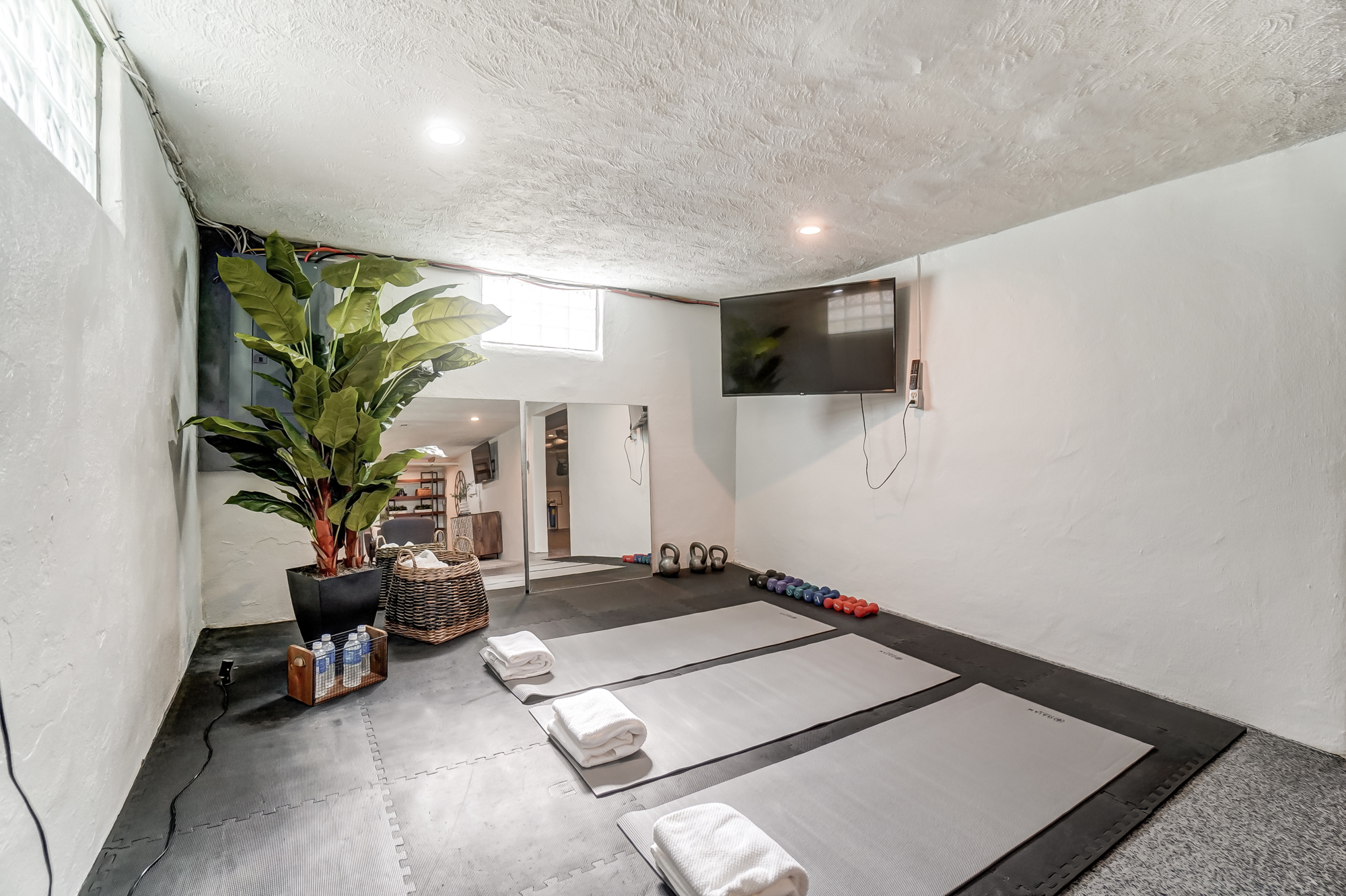 Basement Exercise Room