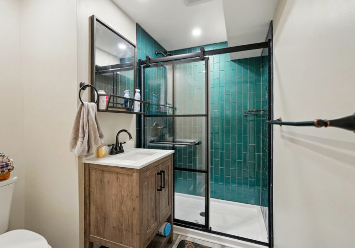 Cheviot Basement Bathroom Shower